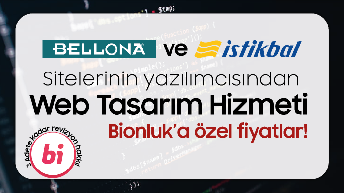 Web sitesi hazırlarım