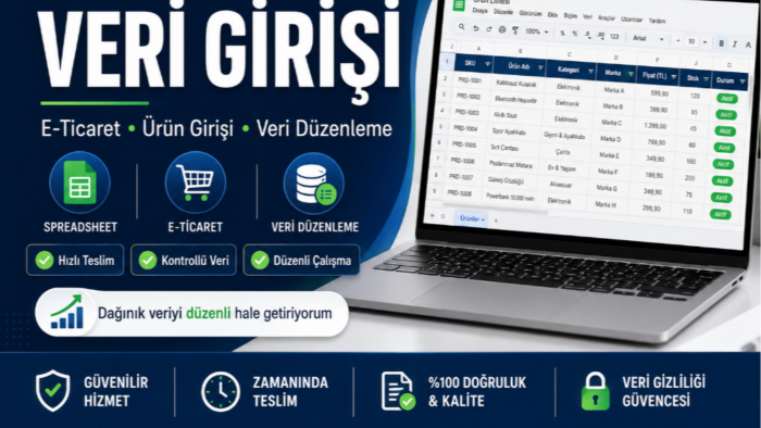 e-Ticaret, excel, google sheets ürün veri girişi yapabilirim