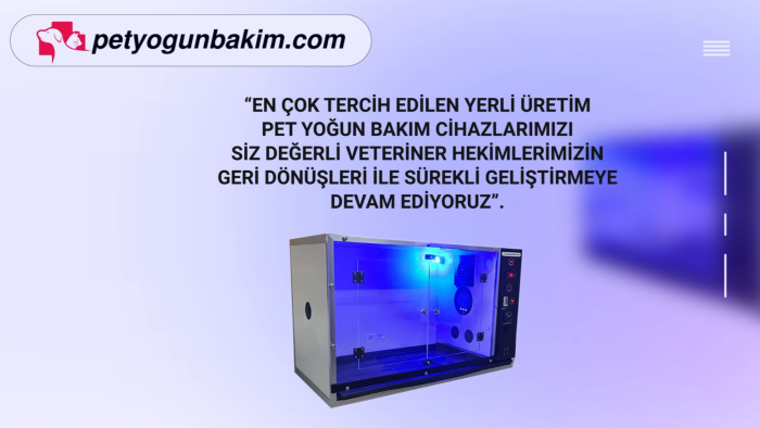 ürün tanıtım reklamları oluşturuyorum