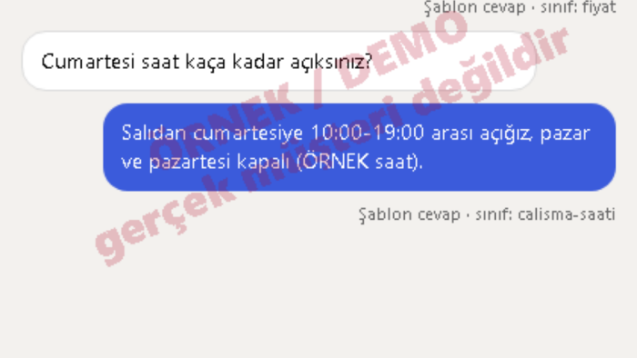 Instagram DM mesajlarını yanıtlayan yapay zeka botu kurarım