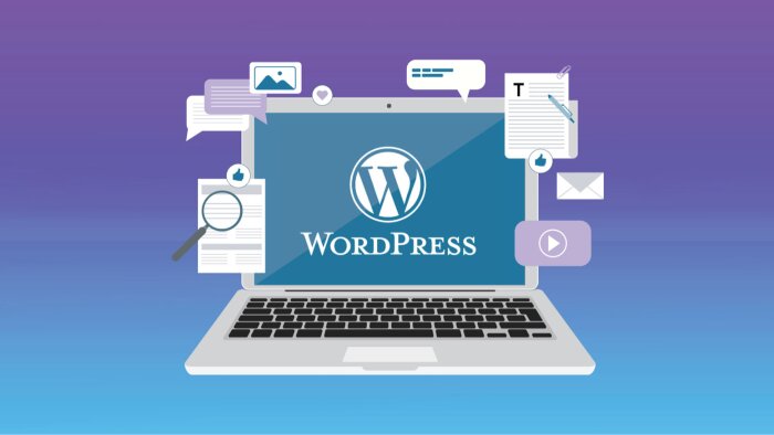 profesyonel ve kullanıcı dostu WordPress siteleri yapıyorum