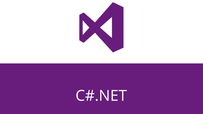 C# ile .Net frameworklerinde geliştirme yapabilirim