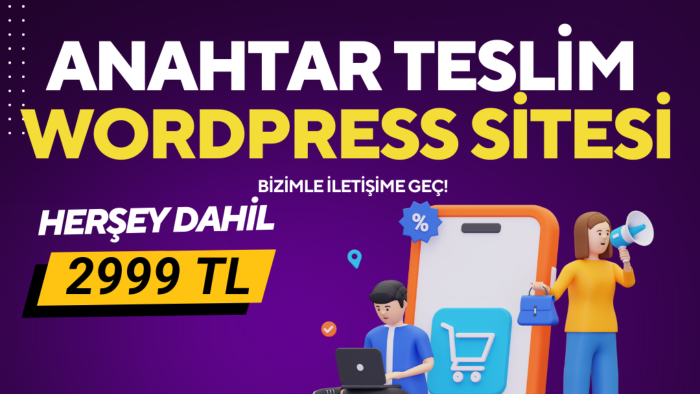 profesyonel seo odaklı wordpress sitesi kurabiliyorum