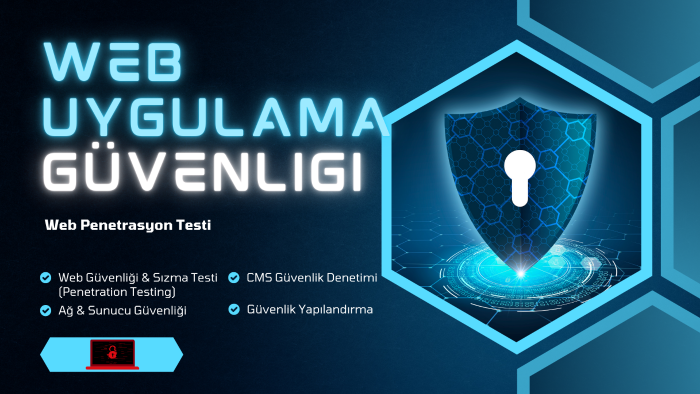web güvenliği için profesyonel tarama yaparım