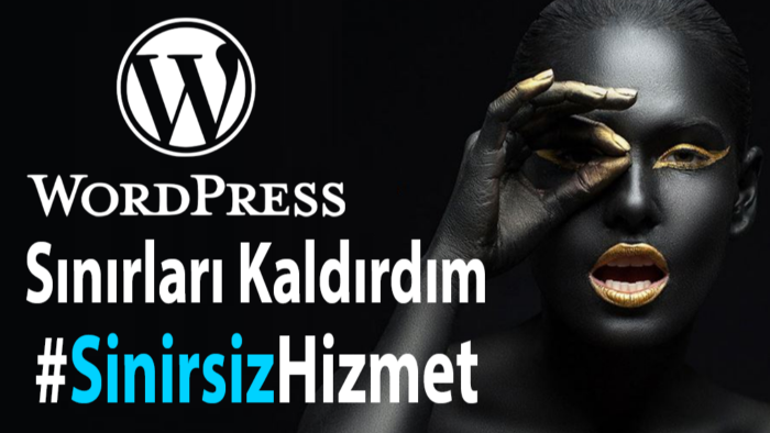 sayfa sınırı olmayan Wordpress site tasarlarım