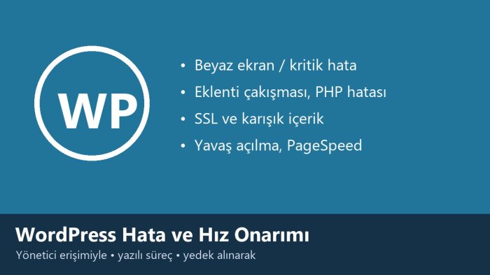 WordPress sitenizdeki hata ve hız sorunlarını düzeltebilirim