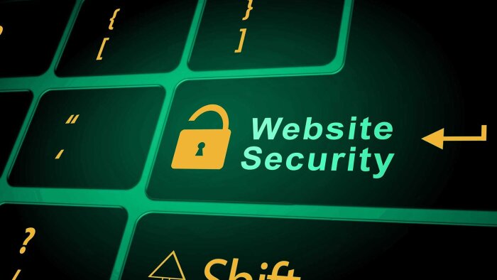 web sitelerinizde tam kapsamlı siber güvenlik testi yaparım