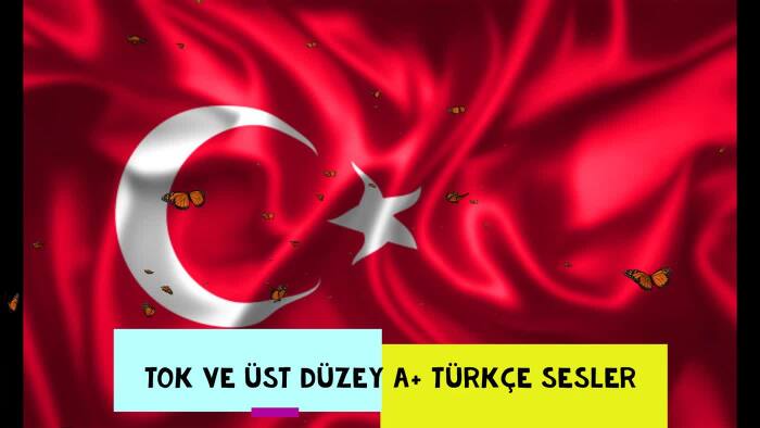 üst düzey  tok A kalite Türkçe seslendirme hizmeti sunarım