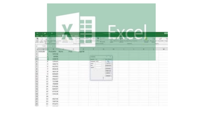 Excel uygulamasında veri girişi yapabilirim