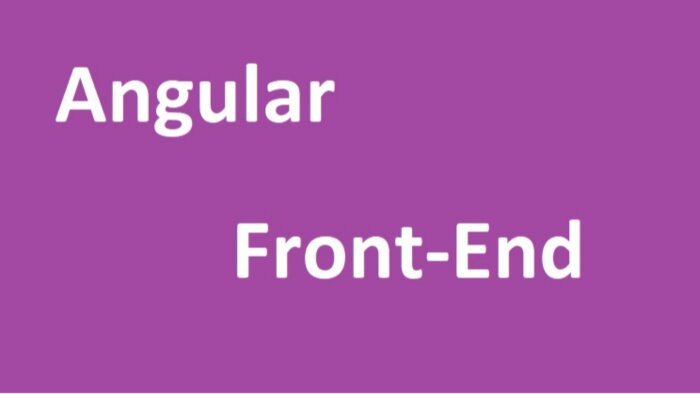 Angular kullanarak profesyonel arayüz hazırlarım