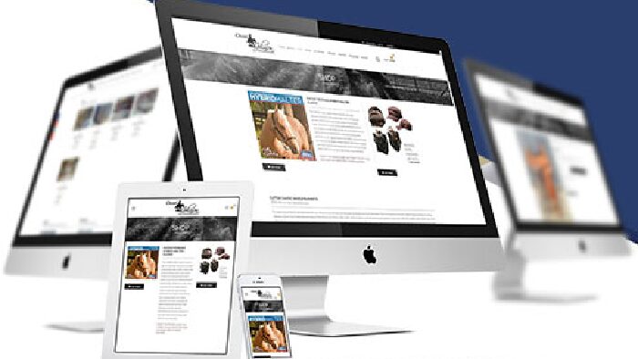 .Net Core Mvc ile bir web sitesi sıfırdan kodlarım