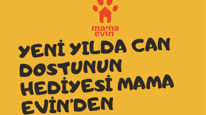 firmanız için yaratıcı broşürler tasarlayabilirim