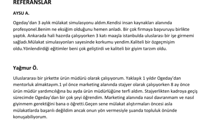 işe alım danışmanı ve mentorum