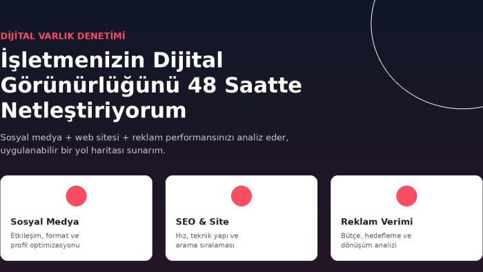 dijital varlık denetimi ve raporlama yaparım