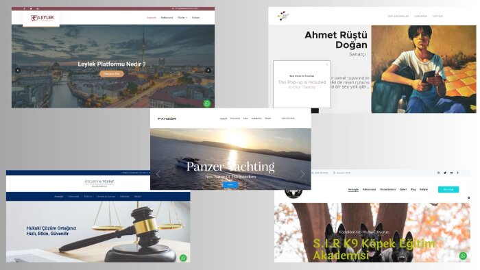 wordpress alt yapılı web siteleri yapıyorum