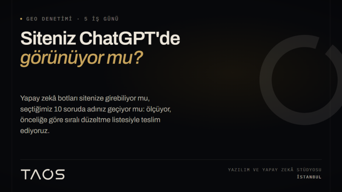 yapay zeka seo ve chatgpt görünürlük denetimi yaparım