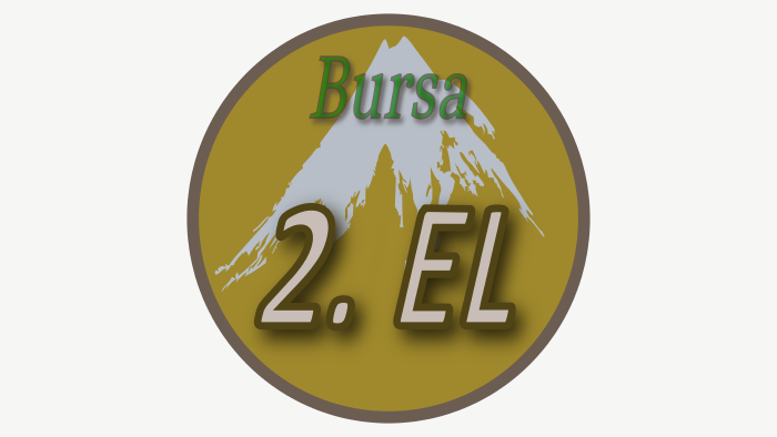 firmanız için profesyonel logo tasarlıyorum