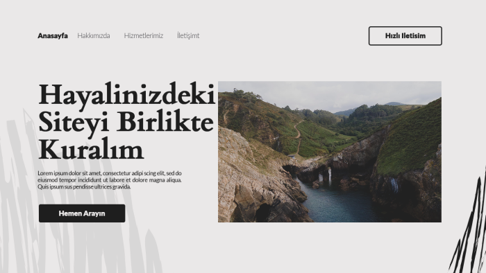 ihtiyacınız olan web sitesini anahtar teslim hazırlarım