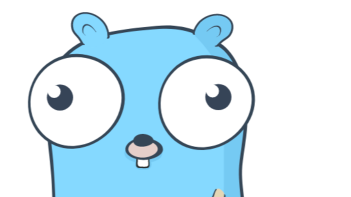 Golang ile programlar geliştirebilirim