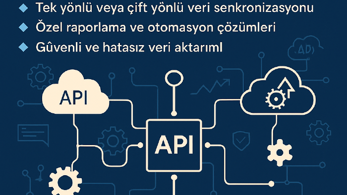 Muhasebe yazılımlarına özel API entegrasyonu yaparım
