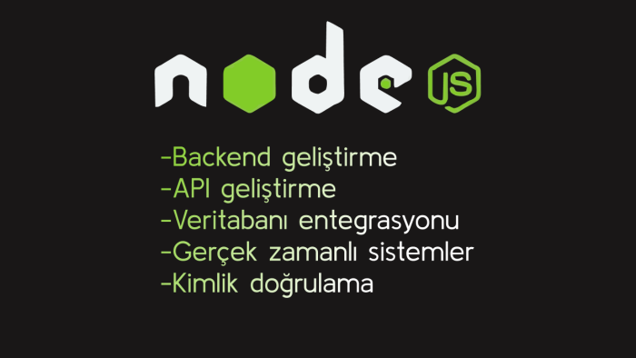 nodejs ile  projenizin backend tarafını geliştirebilirim