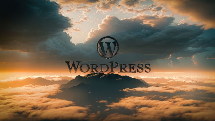 profesyonel wordpress web sitesi tasarımı yapıyorum