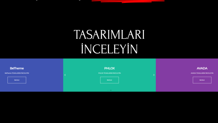 sıfırdan web sitenizi tasarlarım