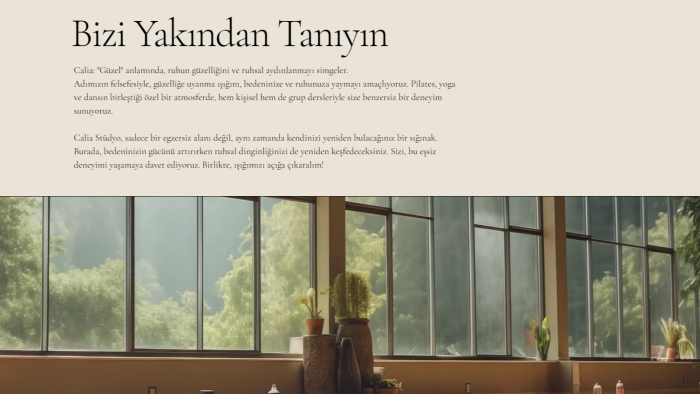kısa sürede şık ve etkili web siteleri hazırlayabilirim