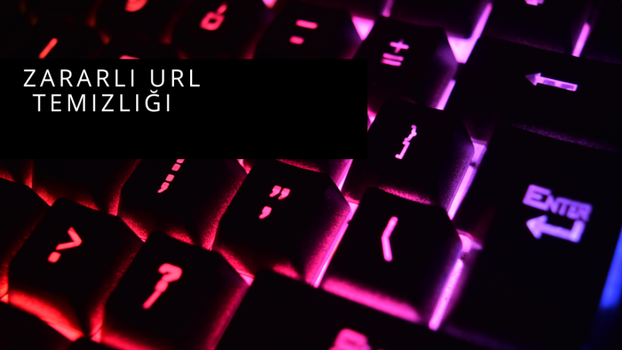 websitenizde malicious url temizliği yaparım