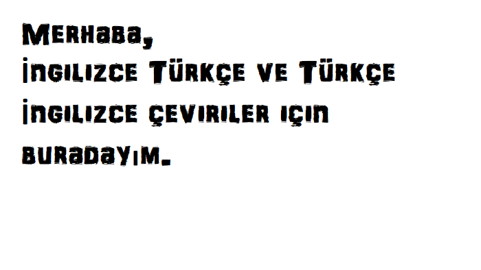 İngilizce-Türkçe veya Türkçe-İngilizce çeviri yapıyorum