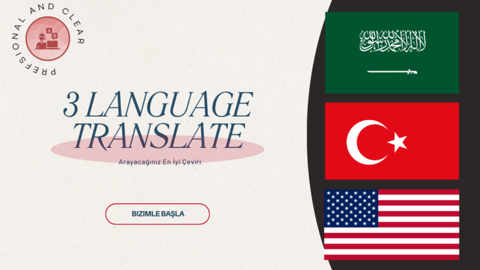 Türkçe Arapça İngilizce profesyonel çeviri yaparım