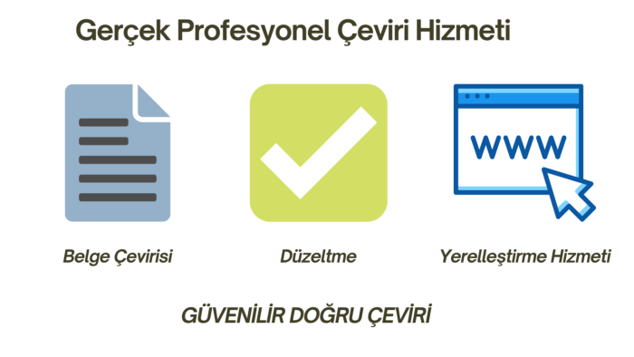 hızlı çeviri yapıyorum
