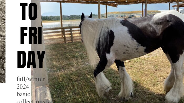 her şeyi hazır instagram sayfası yapabiliyorum