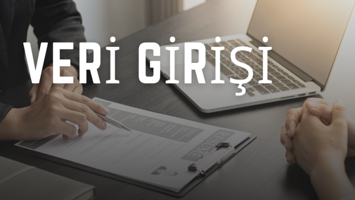 sitelerinize veri girişi yapabilirim