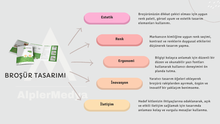 ilgi çekici katalog ve afiş hazırlarım