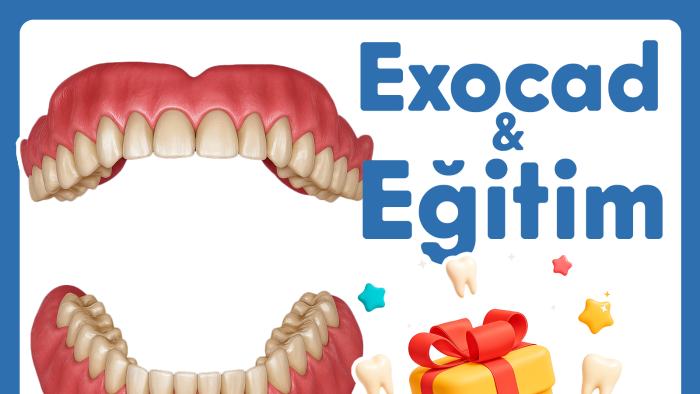 Exocad ve dental tasarım eğitimi veriyorum