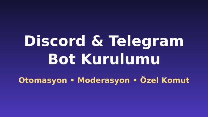size özel Discord ve Telegram botu kurarım