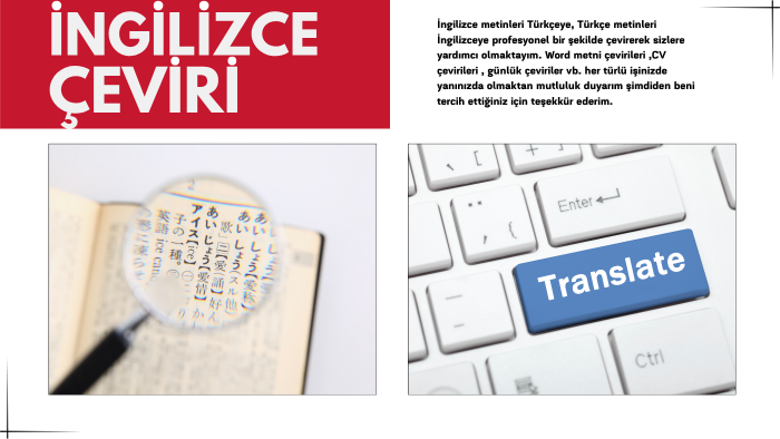 her türlü çeviri işinizi profesyonelce yaparım