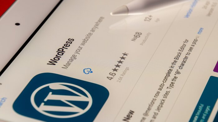 anahtar teslim WordPress web site kurabilirim