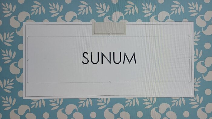 sunum yapabilirim