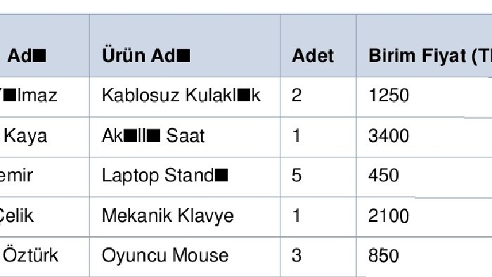 veri girişi sunuyorum