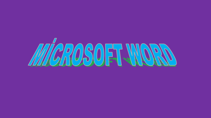 microsoft word programları ile herşeyi yapabilirim