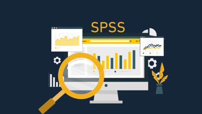 SPSS analizlerinizi yapar ve anlaşılır raporlar hazırlarım