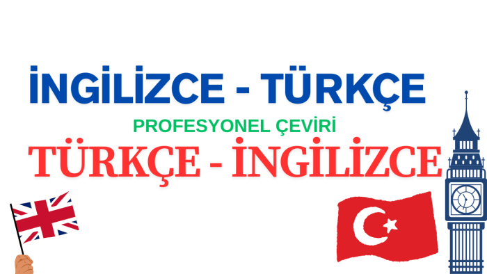  İngilizce ve Türkçe profesyonel çeviri hizmeti sunuyorum