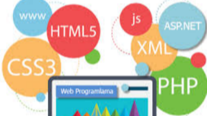 size özel web sitesi tasarlayabilirim