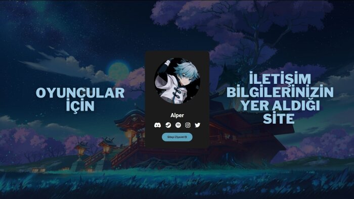 özelleştirilmiş site tasarımı sağlarım