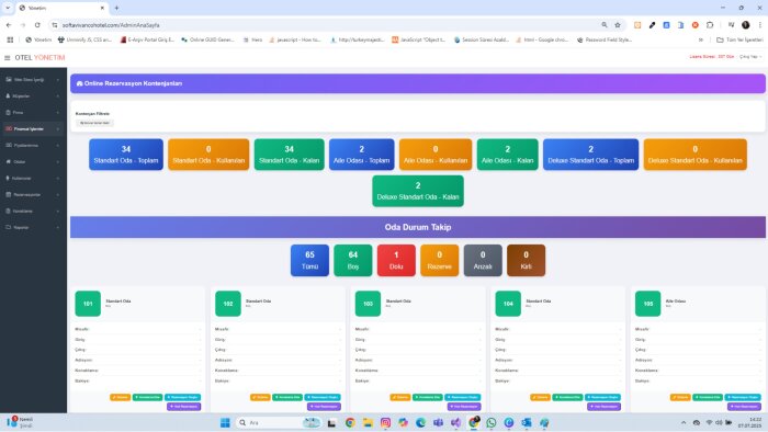 profesyonel web sayfası yapabilirim