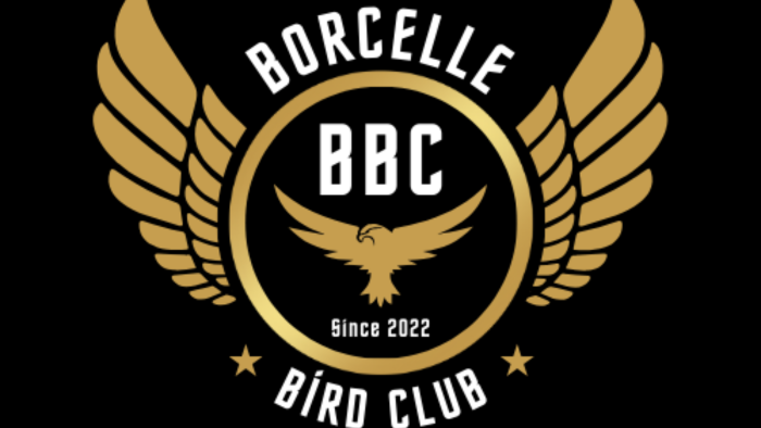 markanız için özgün ve profesyonel logo tasarlayabilirim