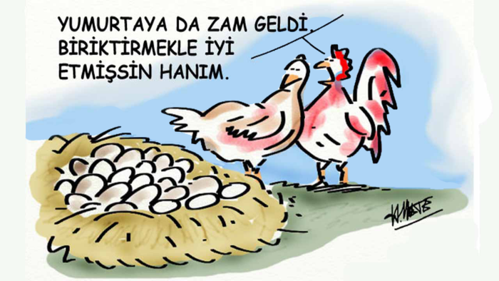 istediğiniz konuda serbest karikatür çizebilirim