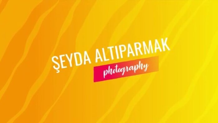 metin yazarak sesli video reklam yapabilirim